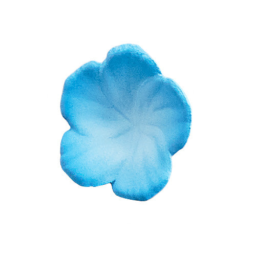 KADOKAWA Isekaijoucho Universal Body Nemophila