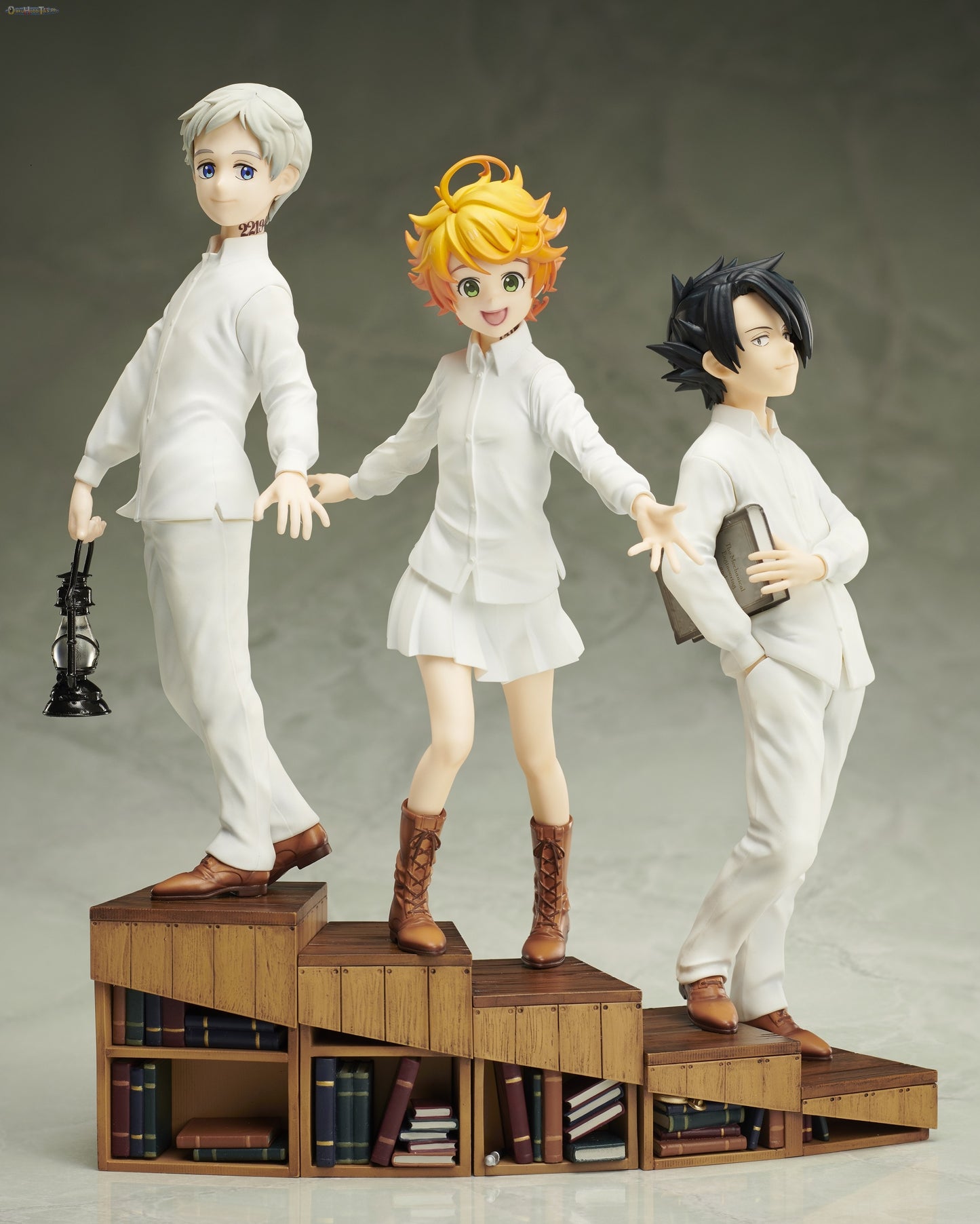 ANIPLEX+ 1/8 Ray