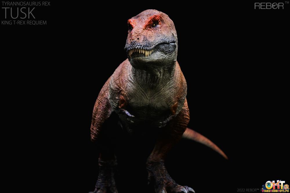 REBOR 1/35 Tyrannosaurus Rex "TUSK" King Requiem Ver. Scale Replica