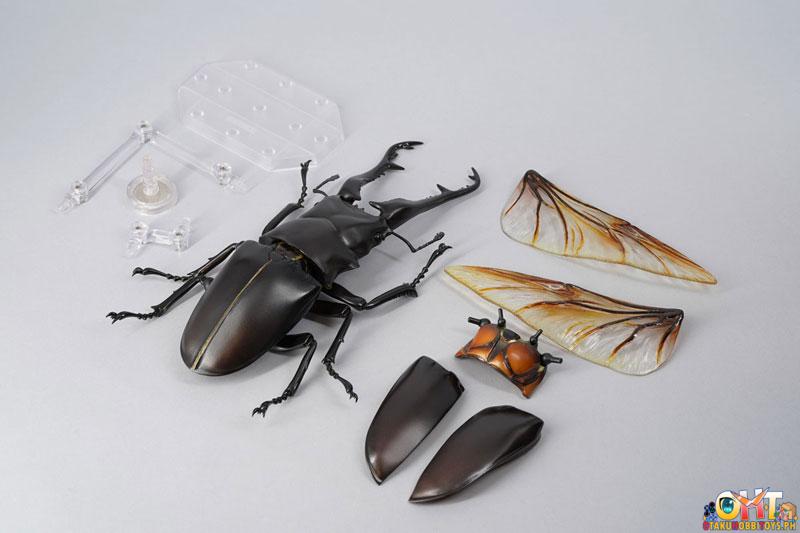 Kaiyodo REVO GEO Giraffe Stag Beetle (Prosopocoilus Giraffa)