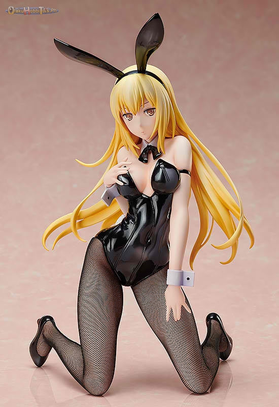 FREEing 1/4 Ais Wallenstein: Bunny Ver.