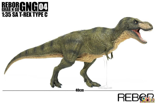 REBOR GNG024 1/35 SA Tyrannosaurus Rex Type C Scale Replica