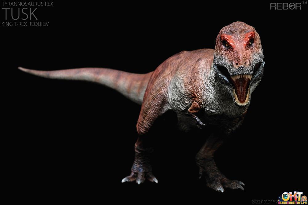 REBOR 1/35 Tyrannosaurus Rex "TUSK" King Requiem Ver. Scale Replica