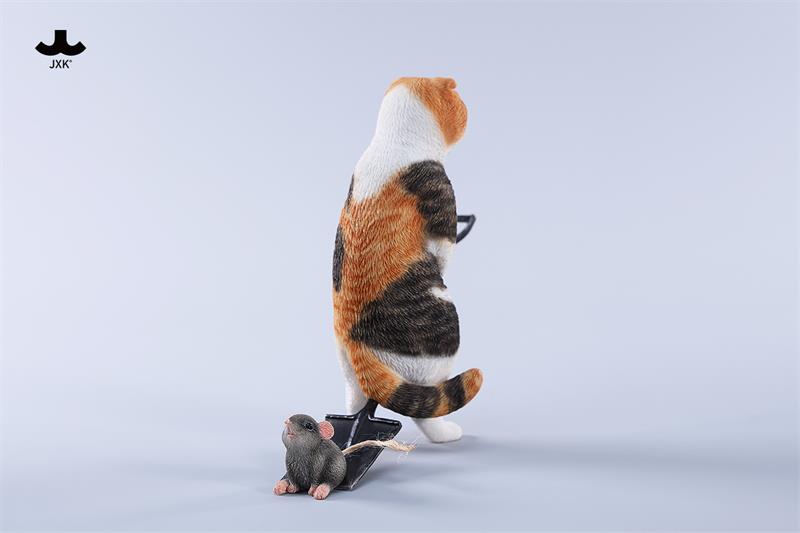 JXK 1/6 Folded Eared Cat