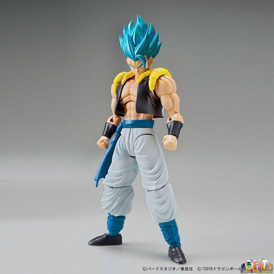[RE-OFFER] Bandai Figure-rise Standard Super Saiyan God Super Saiyan Gogeta - Dragon Ball Super: Broly