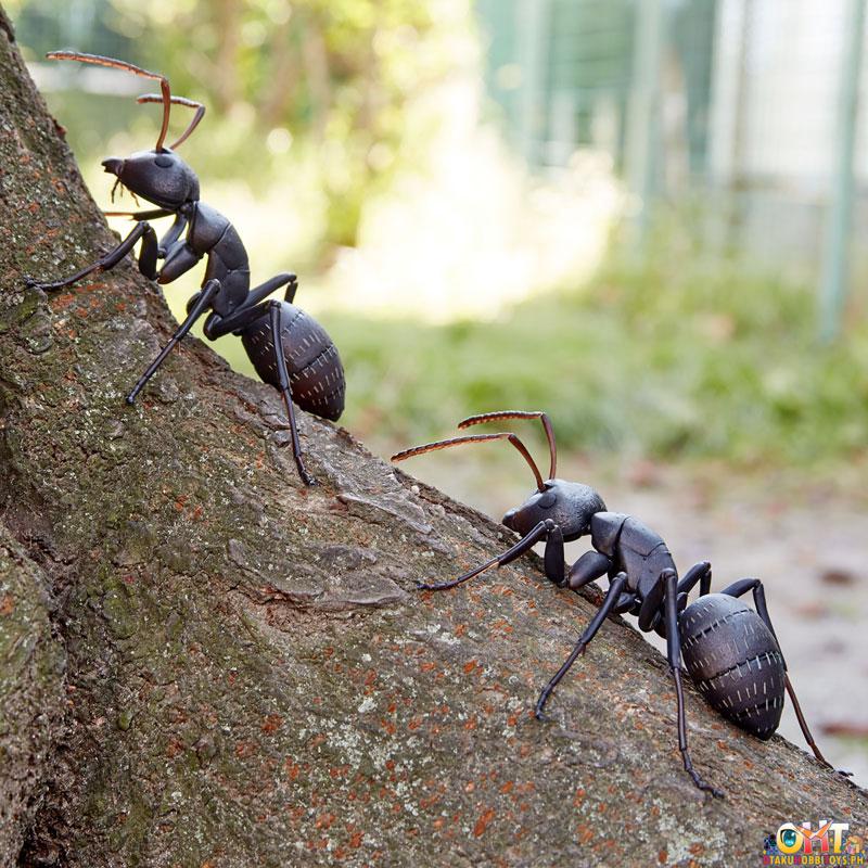 Kaiyodo REVO GEO Japanese Carpenter Ant (Japan Ver.)