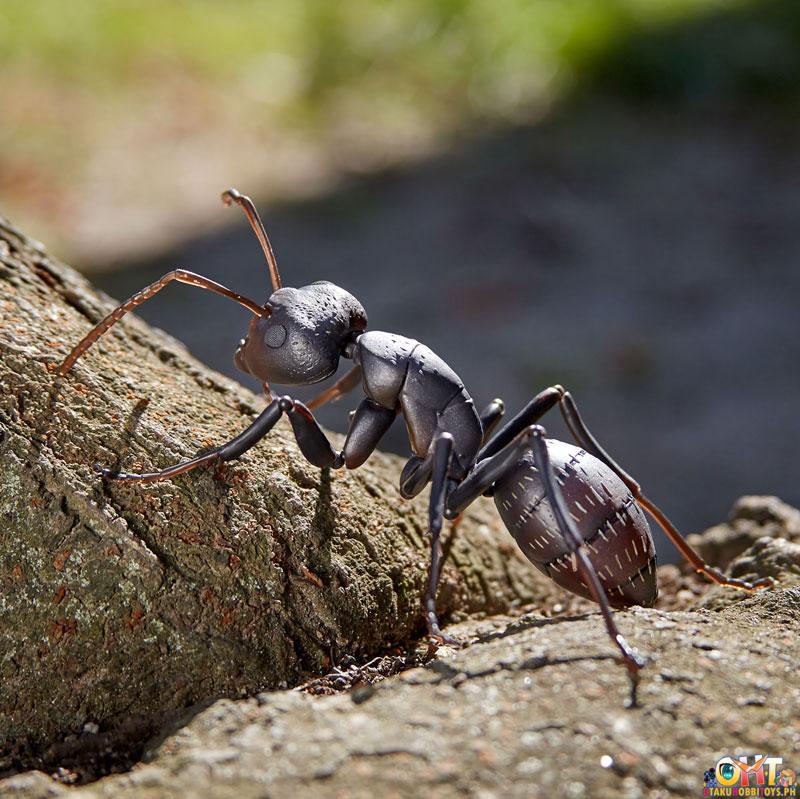 Kaiyodo REVO GEO Japanese Carpenter Ant (Japan Ver.)