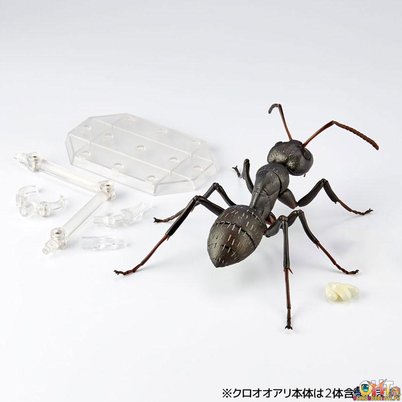 Kaiyodo REVO GEO Japanese Carpenter Ant (Japan Ver.)