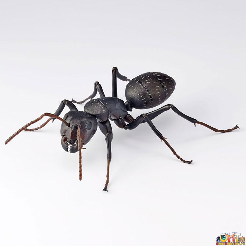 Kaiyodo REVO GEO Japanese Carpenter Ant (Japan Ver.)