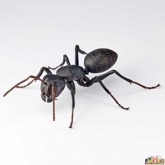 Kaiyodo REVO GEO Japanese Carpenter Ant (Japan Ver.)