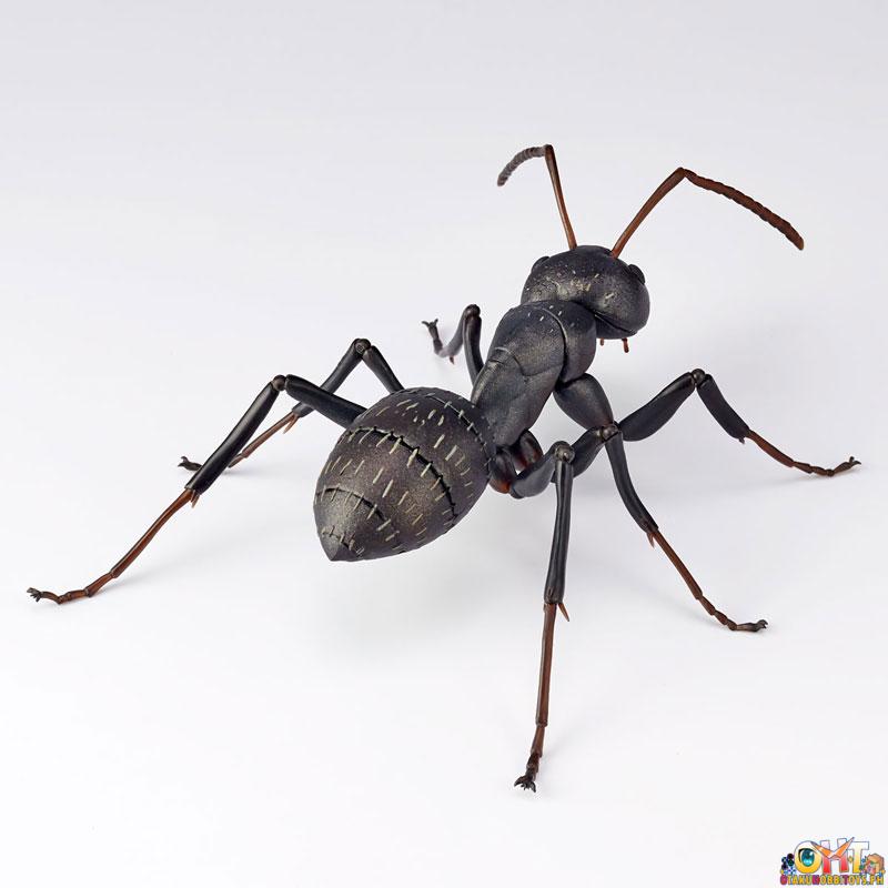 Kaiyodo REVO GEO Japanese Carpenter Ant (Japan Ver.)