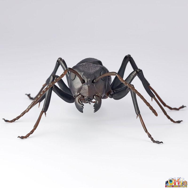 Kaiyodo REVO GEO Japanese Carpenter Ant (Japan Ver.)