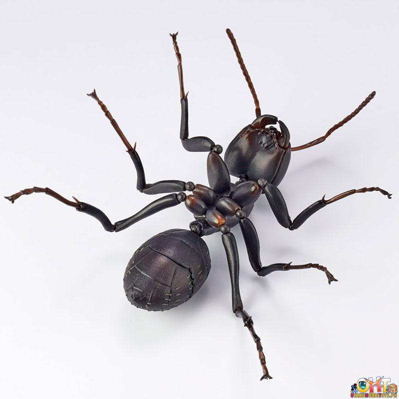 Kaiyodo REVO GEO Japanese Carpenter Ant (Japan Ver.)