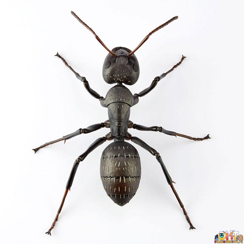 Kaiyodo REVO GEO Japanese Carpenter Ant (Japan Ver.)