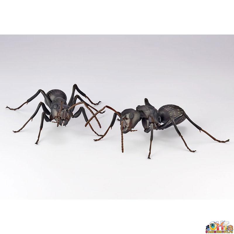 Kaiyodo REVO GEO Japanese Carpenter Ant (Japan Ver.)