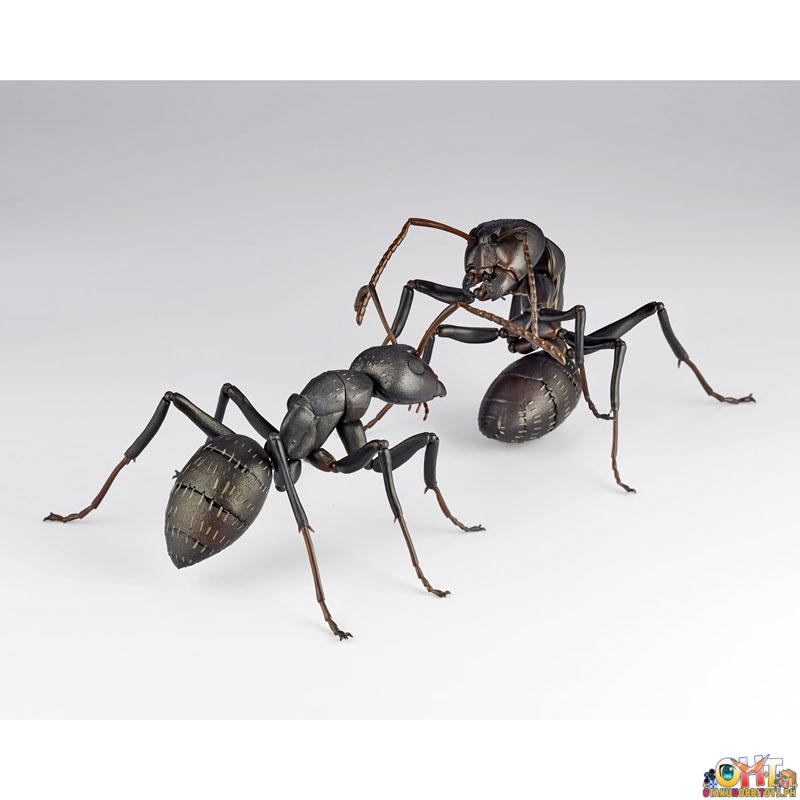 Kaiyodo REVO GEO Japanese Carpenter Ant (Japan Ver.)
