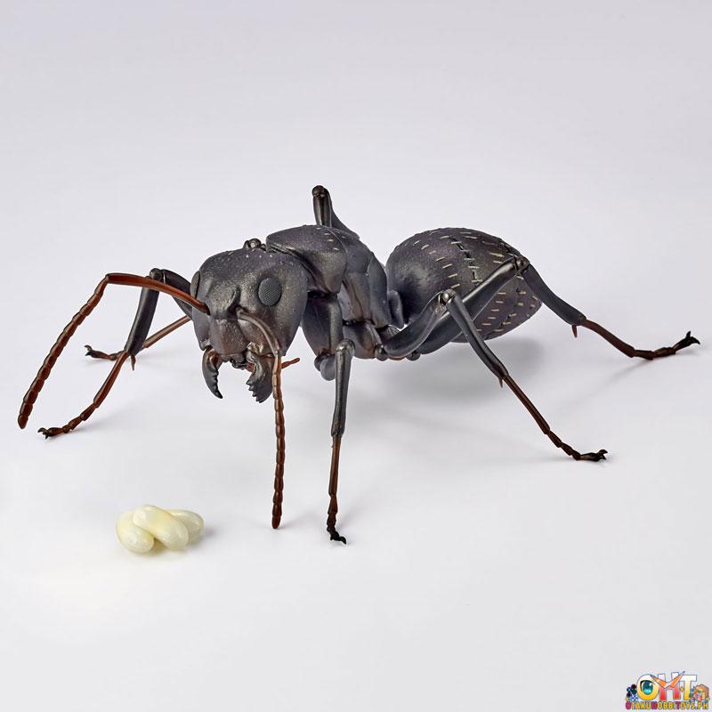 Kaiyodo REVO GEO Japanese Carpenter Ant (Japan Ver.)