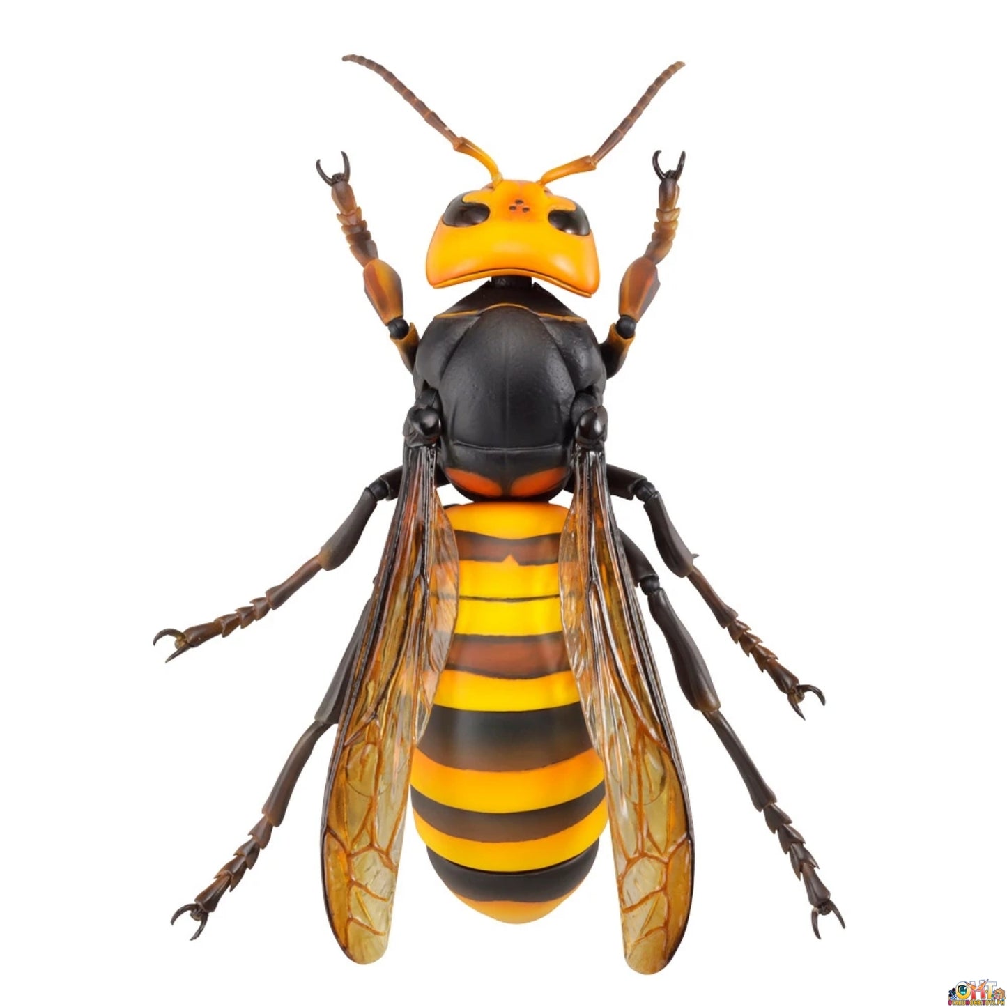 [REISSUE] Kaiyodo REVO GEO Japanese Giant Hornet (Vespa Mandarinia)