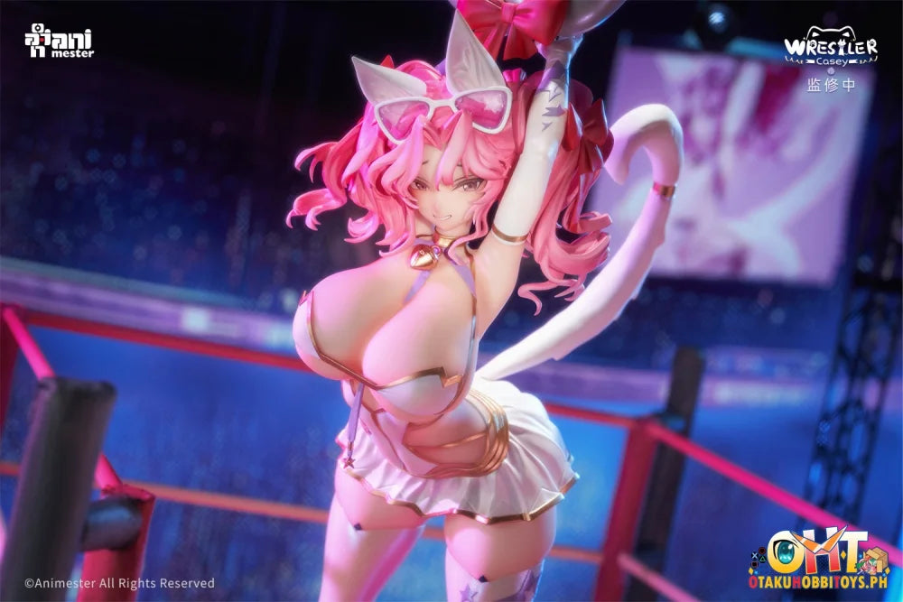 Animester 1/6 Wrestler Casey Figure W/ Furry Piece & Smooth Pursuit Eyes Scale