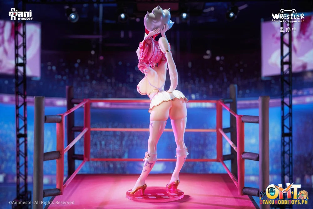 Animester 1/6 Wrestler Casey Figure W/ Furry Piece & Smooth Pursuit Eyes Scale