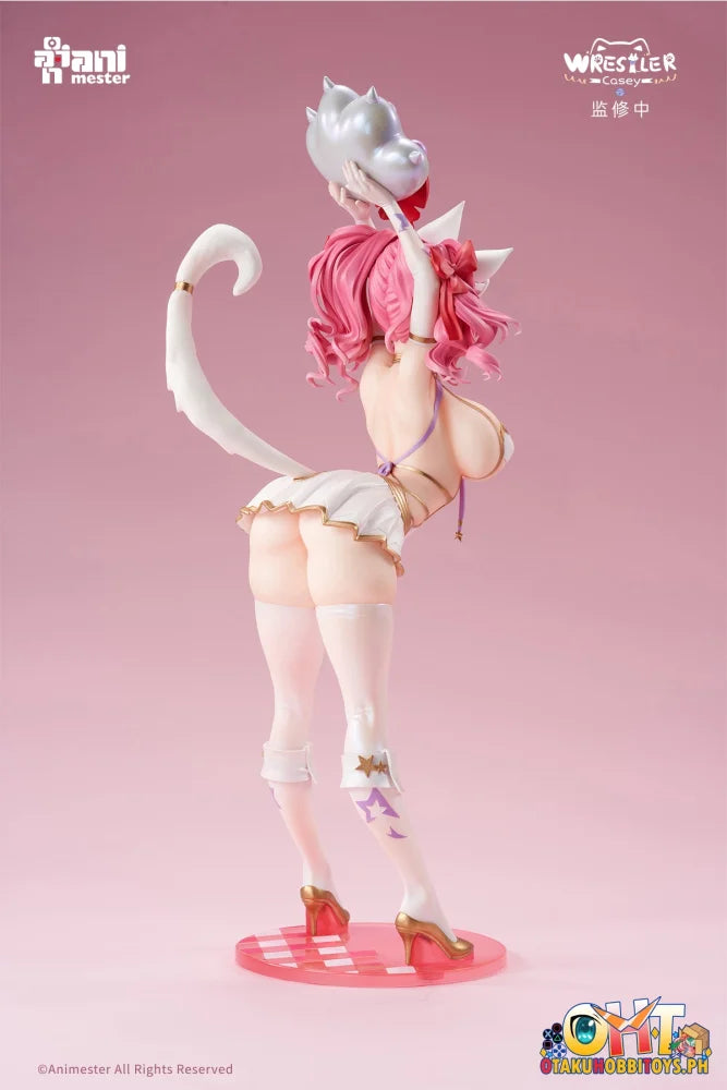 Animester 1/6 Wrestler Casey Figure W/ Furry Piece & Smooth Pursuit Eyes Scale