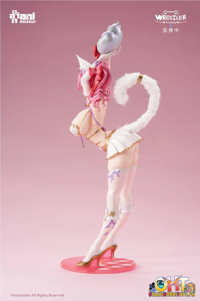 Animester 1/6 Wrestler Casey Figure W/ Furry Piece & Smooth Pursuit Eyes Scale
