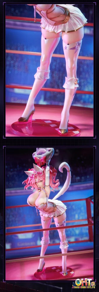Animester 1/6 Wrestler Casey Figure W/ Furry Piece & Smooth Pursuit Eyes Scale