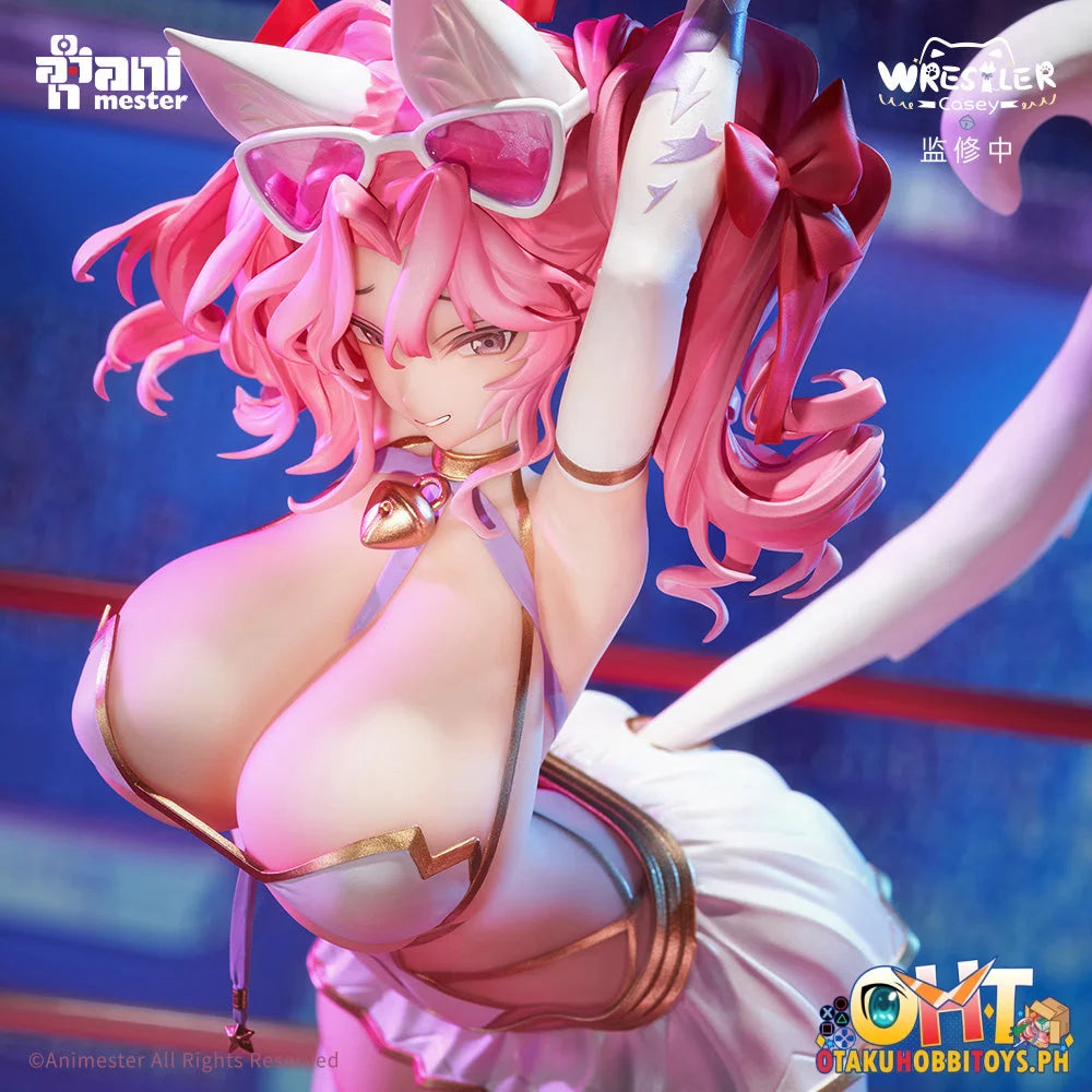 Animester 1/6 Wrestler Casey Figure W/ Furry Piece & Smooth Pursuit Eyes Scale