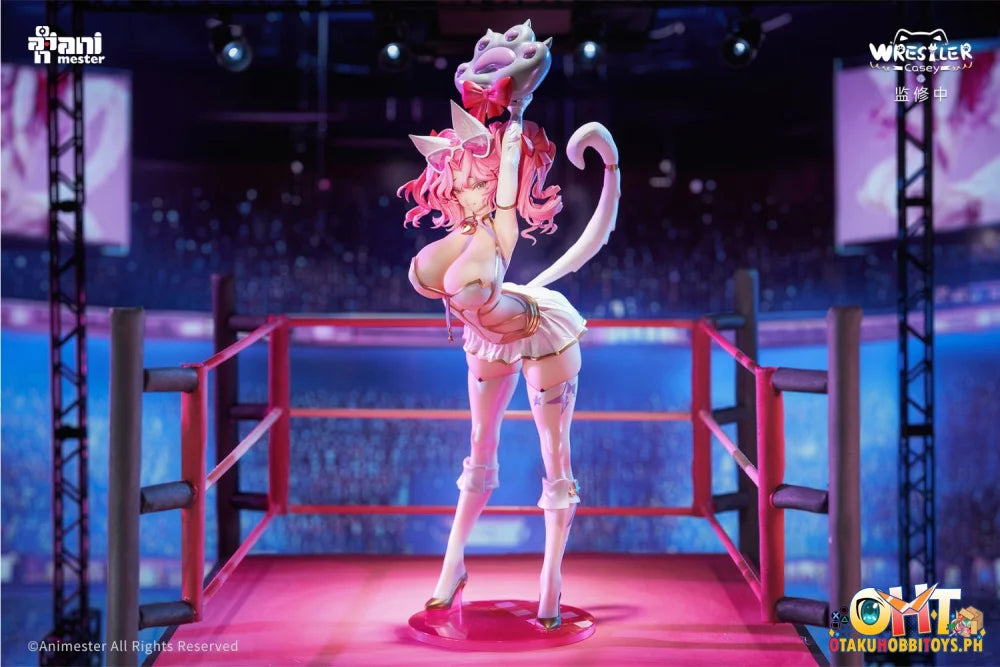 Animester 1/6 Wrestler Casey Figure W/ Furry Piece & Smooth Pursuit Eyes Scale