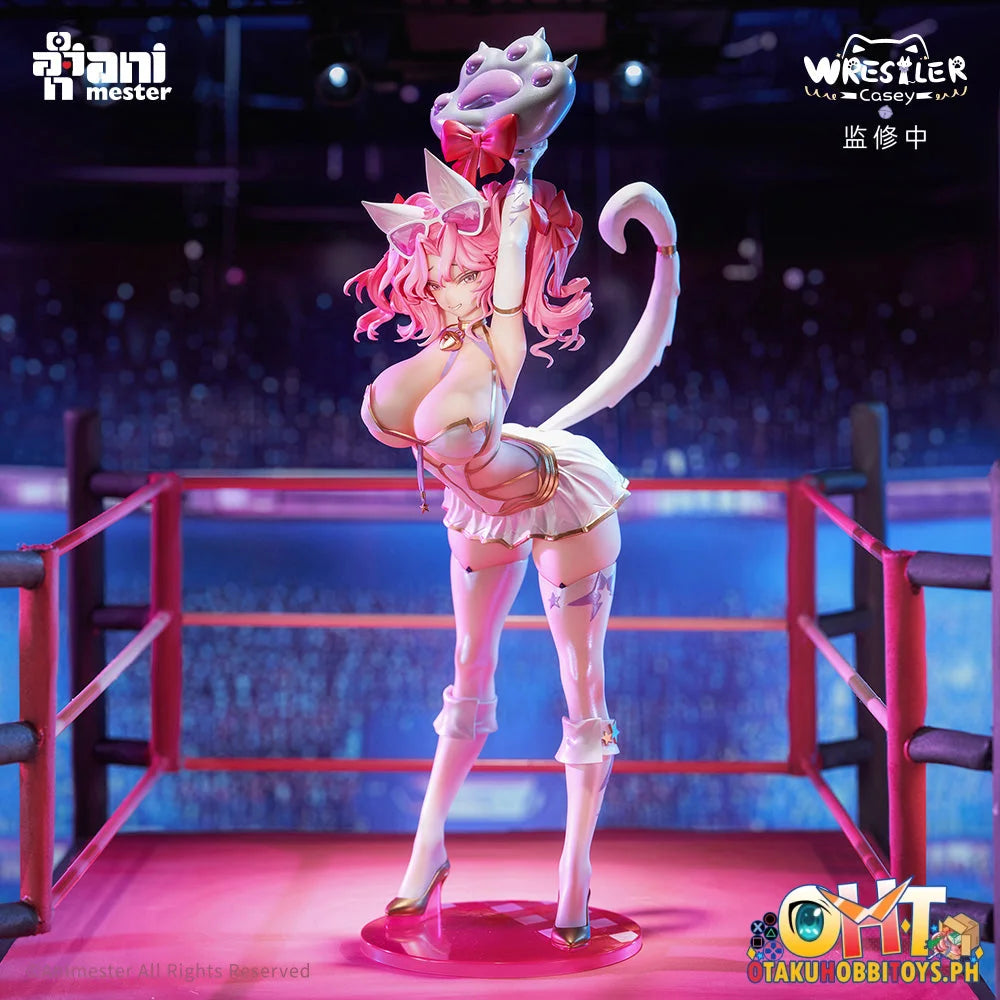 Animester 1/6 Wrestler Casey Figure W/ Furry Piece & Smooth Pursuit Eyes Scale