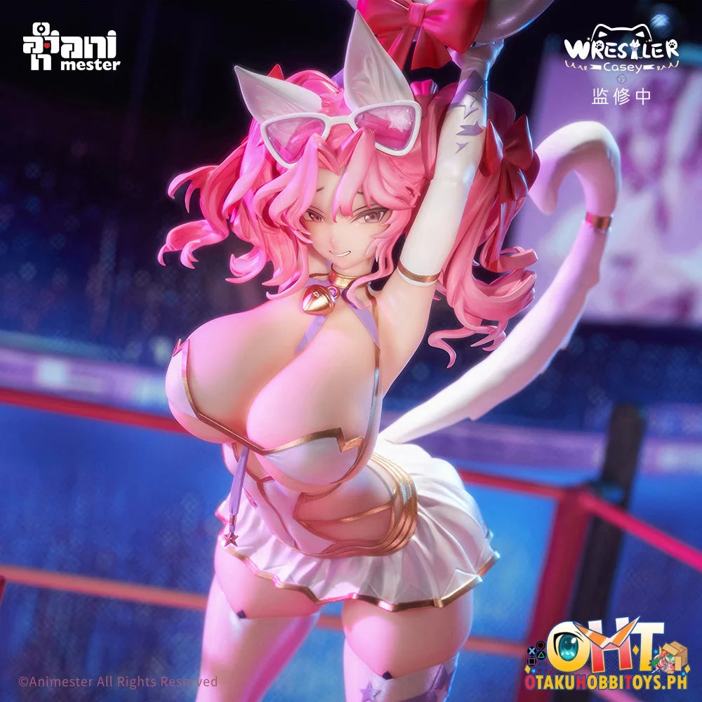 Animester 1/6 Wrestler Casey Figure W/ Furry Piece & Smooth Pursuit Eyes Scale