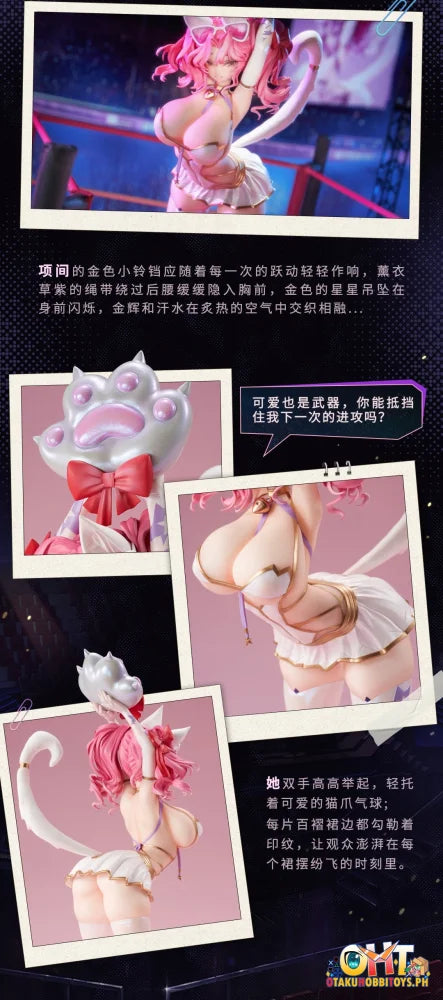 Animester 1/6 Wrestler Casey Figure W/ Furry Piece & Smooth Pursuit Eyes Scale