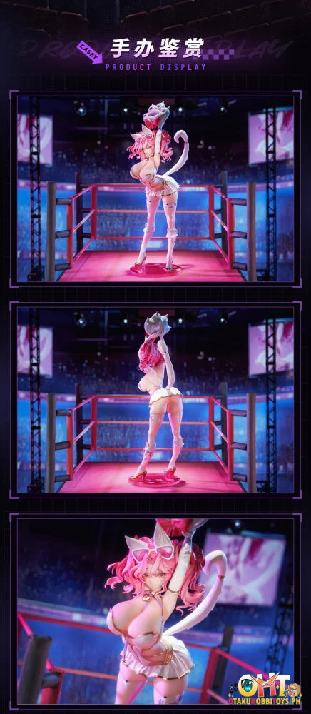 Animester 1/6 Wrestler Casey Figure W/ Furry Piece & Smooth Pursuit Eyes Scale