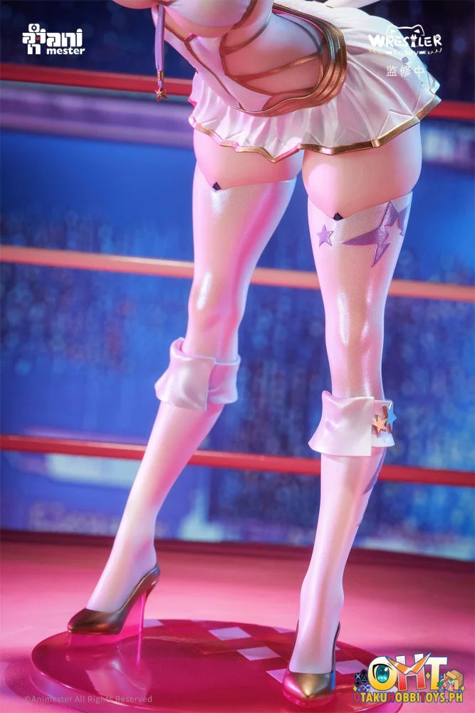 Animester 1/6 Wrestler Casey Figure W/ Furry Piece & Smooth Pursuit Eyes Scale