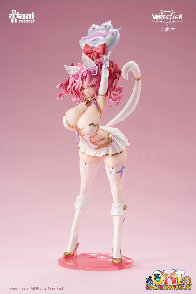 Animester 1/6 Wrestler Casey Figure W/ Furry Piece & Smooth Pursuit Eyes Scale