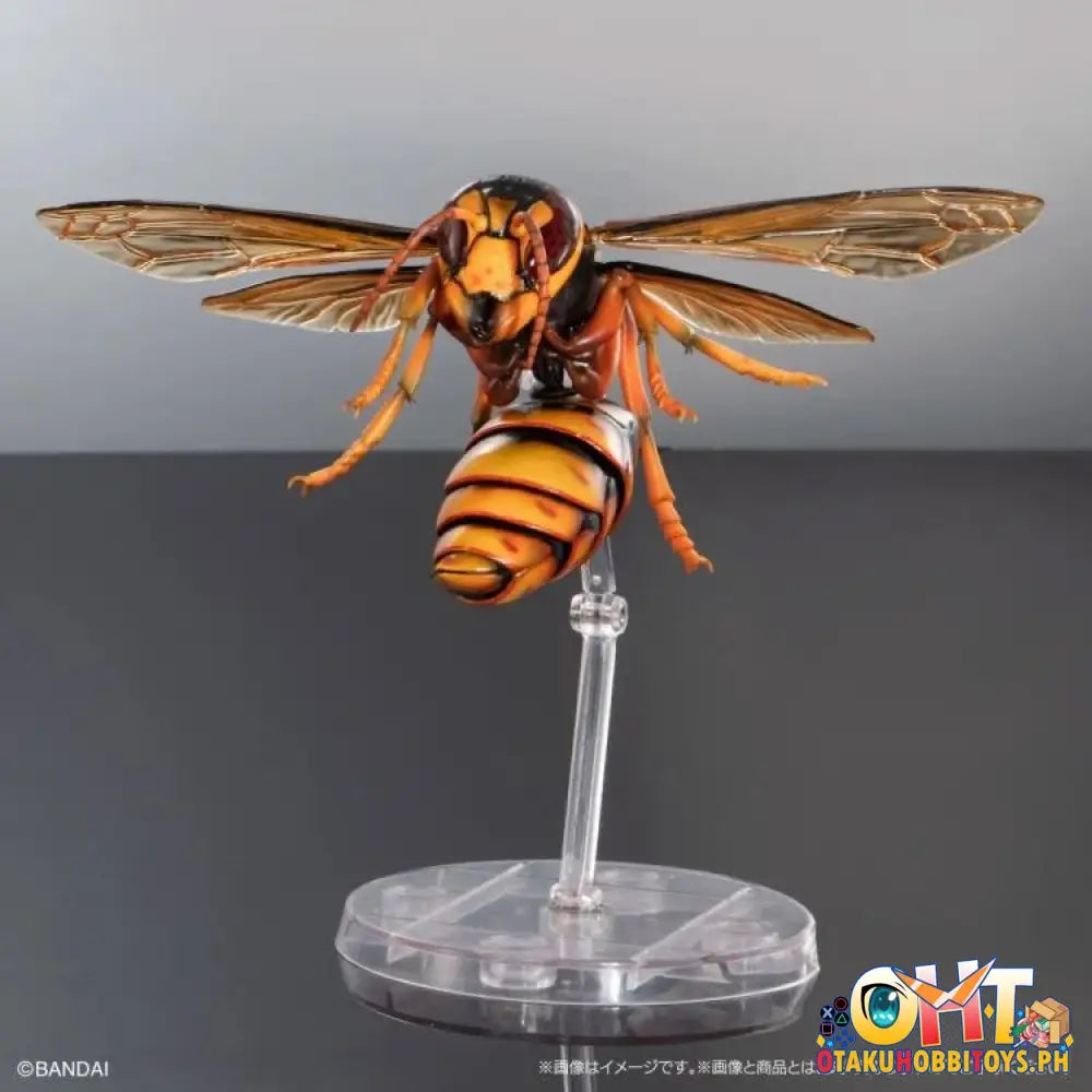 Bandai The Diversity Of Life On Earth Advanced Wasp Vol.2 Display Stand Set Trading Figure