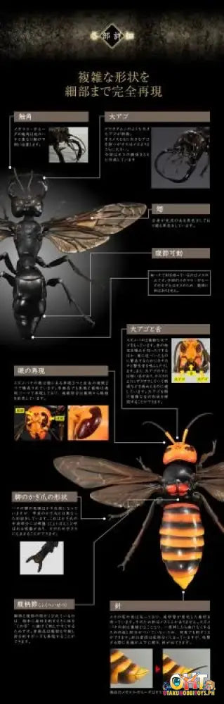 Bandai The Diversity Of Life On Earth Advanced Wasp Vol.2 Display Stand Set Trading Figure