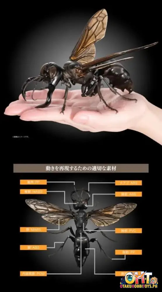 Bandai The Diversity Of Life On Earth Advanced Wasp Vol.2 Display Stand Set Trading Figure
