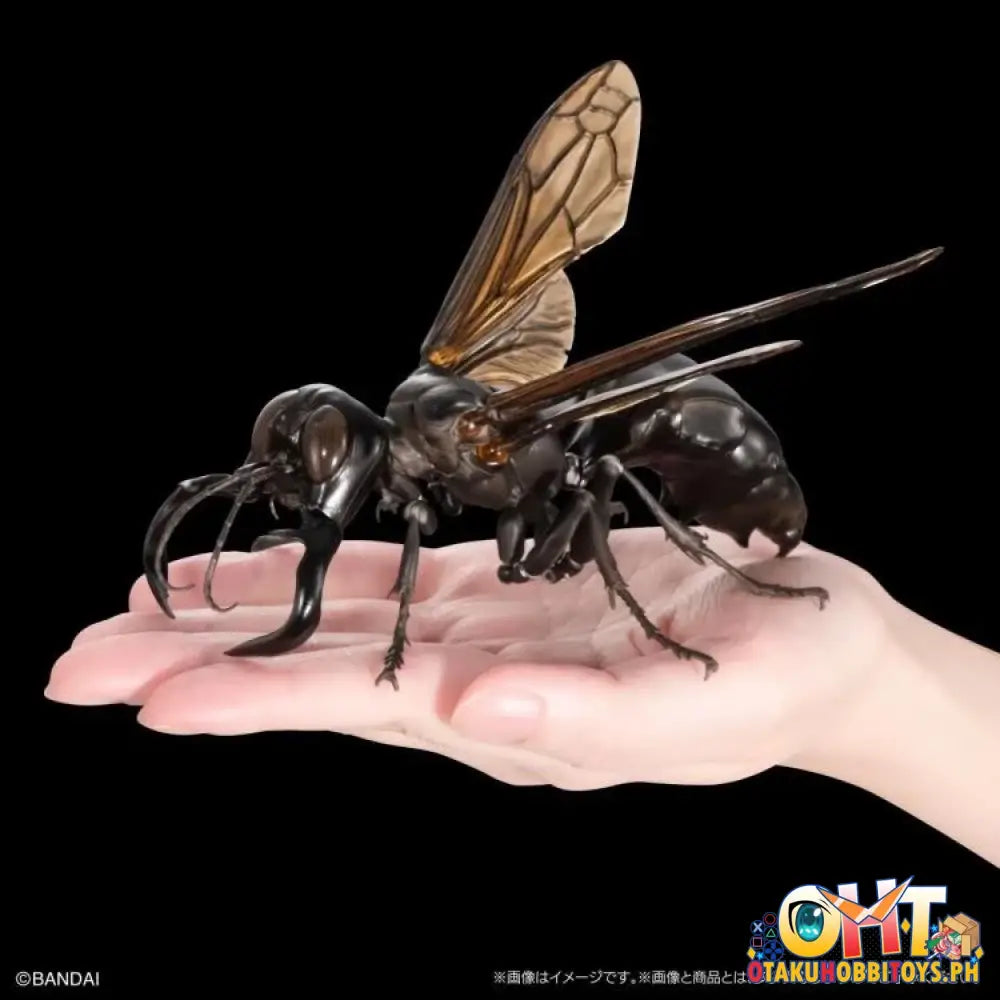 Bandai The Diversity Of Life On Earth Advanced Wasp Vol.2 Display Stand Set Trading Figure