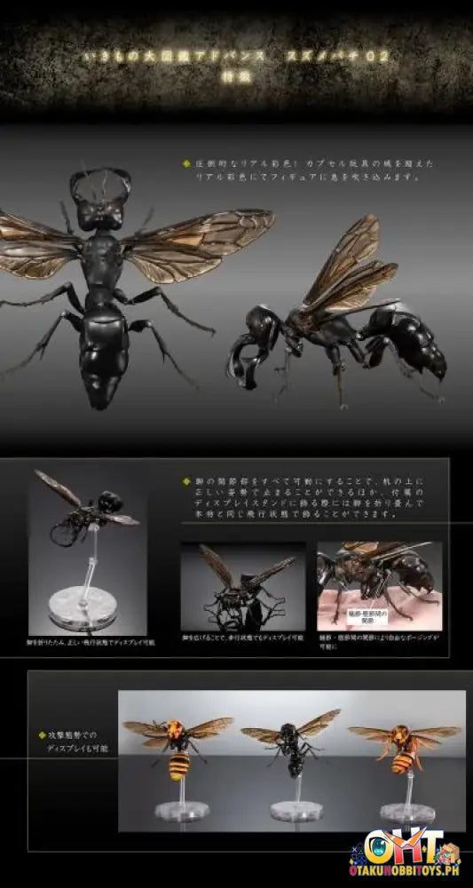 Bandai The Diversity Of Life On Earth Advanced Wasp Vol.2 Display Stand Set Trading Figure