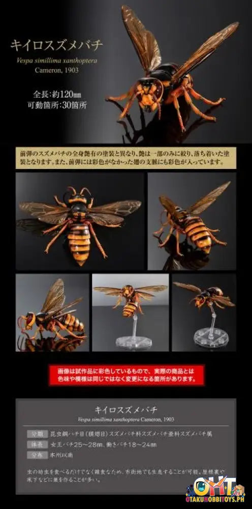 Bandai The Diversity Of Life On Earth Advanced Wasp Vol.2 Display Stand Set Trading Figure
