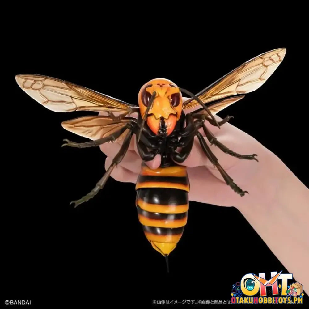 Bandai The Diversity Of Life On Earth Advanced Wasp Vol.2 Display Stand Set Trading Figure