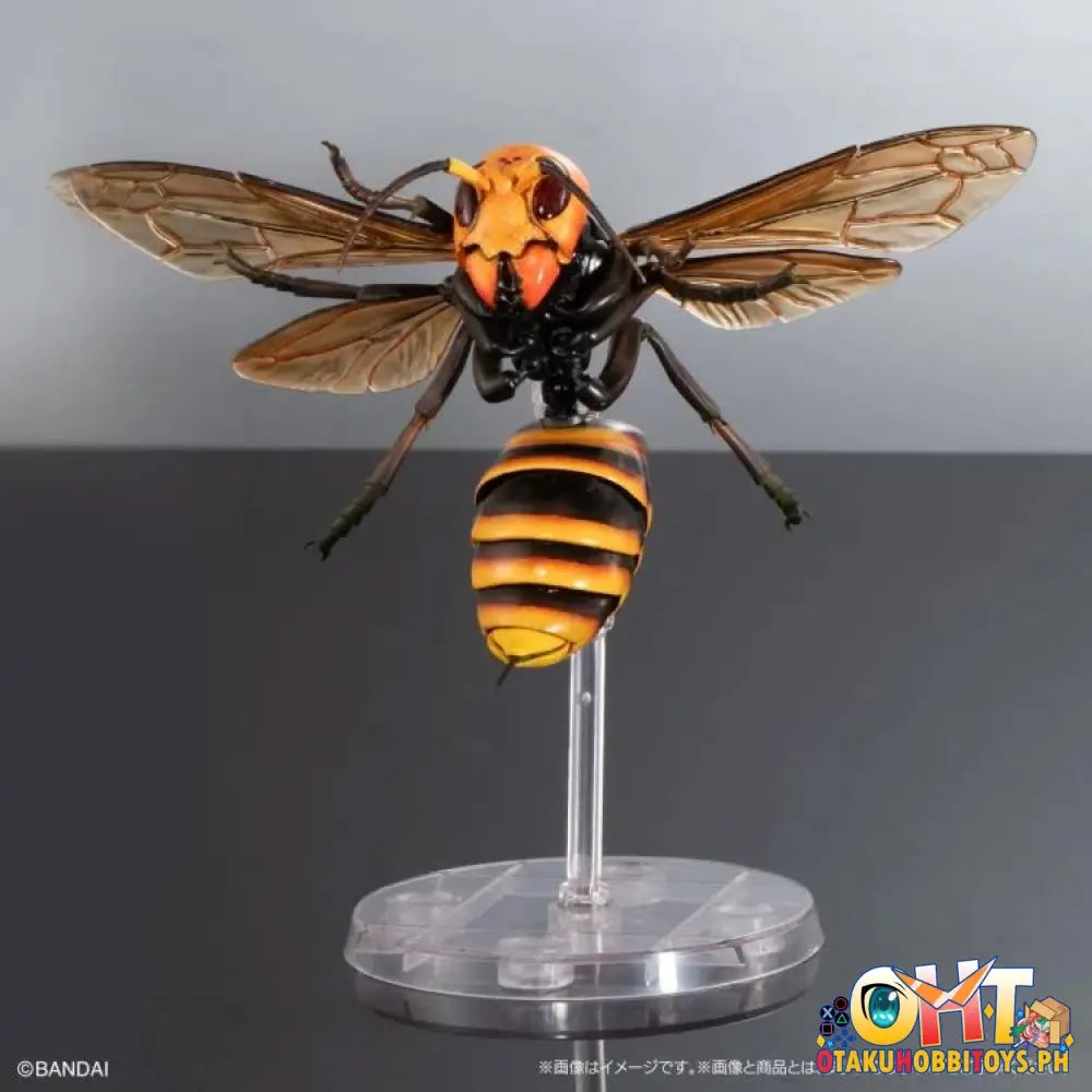 Bandai The Diversity Of Life On Earth Advanced Wasp Vol.2 Display Stand Set Trading Figure
