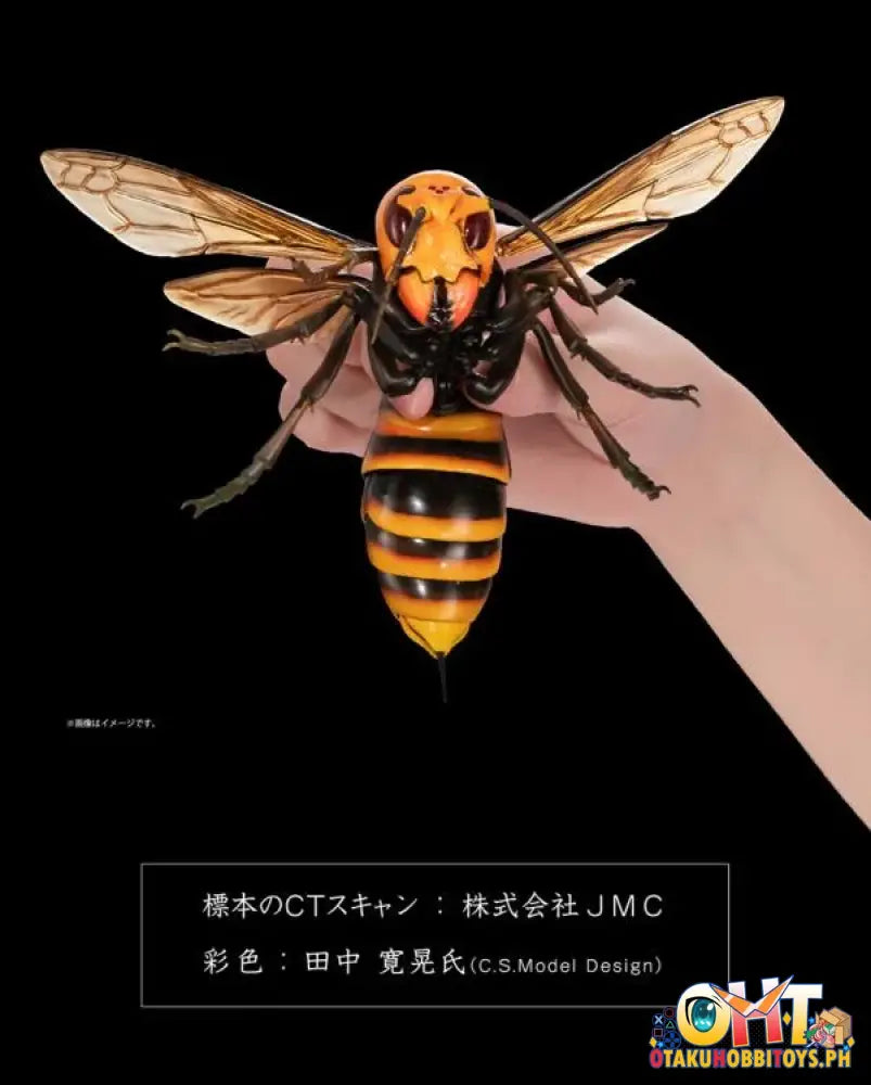 Bandai The Diversity Of Life On Earth Advanced Wasp Vol.2 Display Stand Set Trading Figure