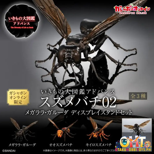 Bandai The Diversity Of Life On Earth Advanced Wasp Vol.2 Display Stand Set Trading Figure