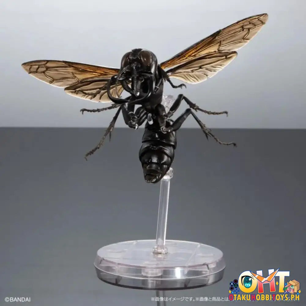 Bandai The Diversity Of Life On Earth Advanced Wasp Vol.2 Display Stand Set Trading Figure