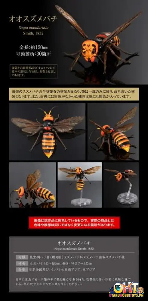 Bandai The Diversity Of Life On Earth Advanced Wasp Vol.2 Display Stand Set Trading Figure