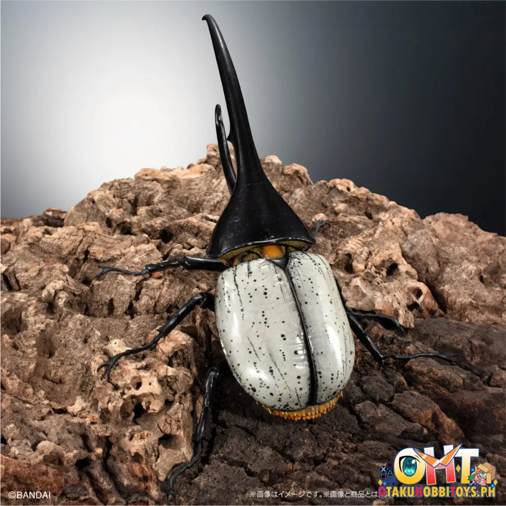 Bandai The Diversity Of Life On Earth Hercules Beetle Dynastes Lichyi Set Trading Figure