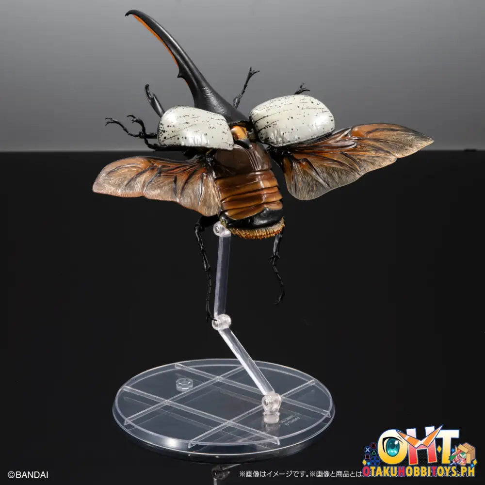 Bandai The Diversity Of Life On Earth Hercules Beetle Dynastes Lichyi Set Trading Figure