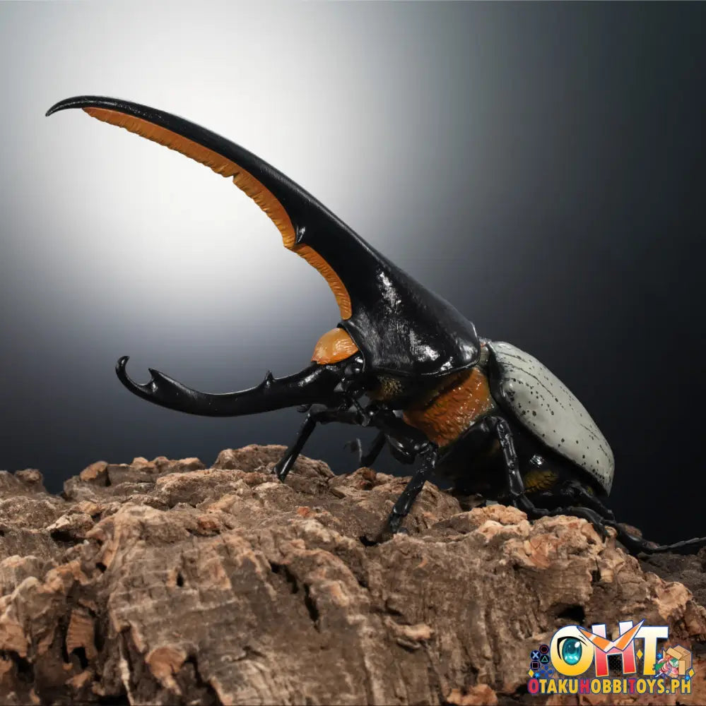 Bandai The Diversity Of Life On Earth Hercules Beetle Dynastes Lichyi Set Trading Figure